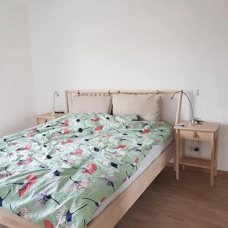 Wohnen Am Rhein, Zentrumsnah, Mietvertrag Obligatorisch *