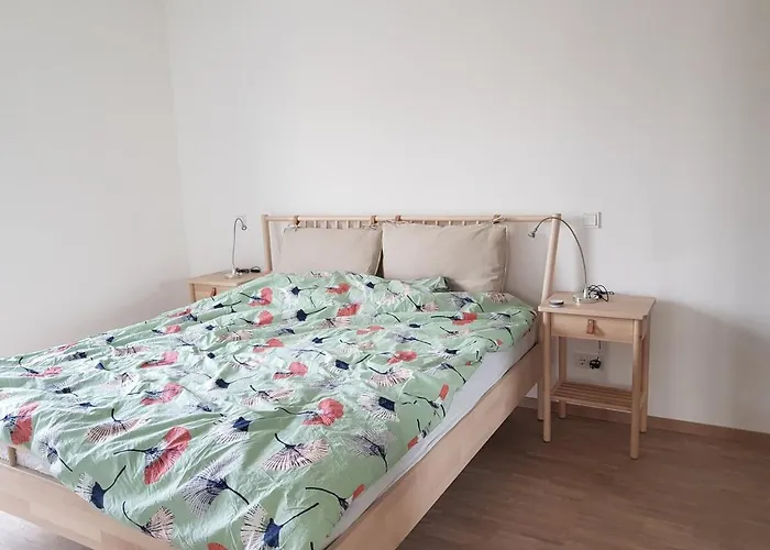 Wohnen Am Rhein, Zentrumsnah, Mietvertrag Obligatorisch *